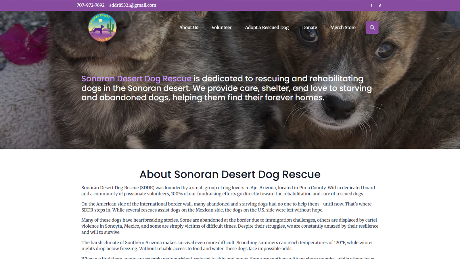 Sonoran Desert Dog Rescue